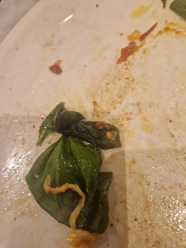 Photo of Franco Manca Cheltenham - 33-40 The Promenade, Cheltenham GL50 1LE